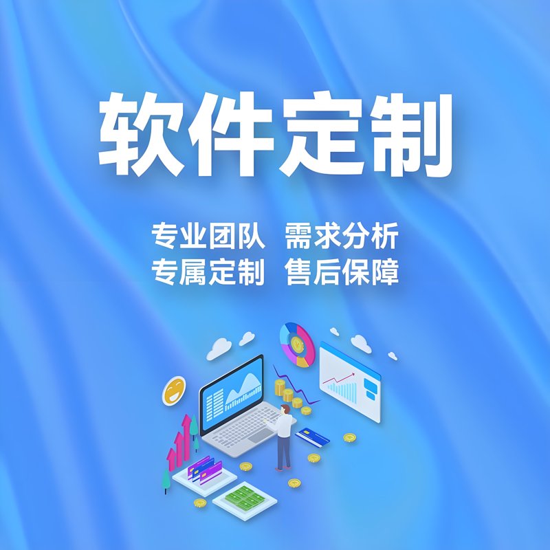 软件定制:助力企业数字化转型的新引擎